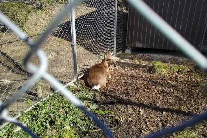 宝満宮竈門神社(福岡県)