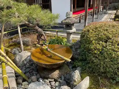 圓光寺(京都府)