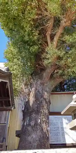 稜威天王社(大阪府)