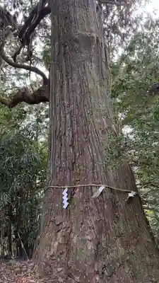 賀美石神社(宮城県)