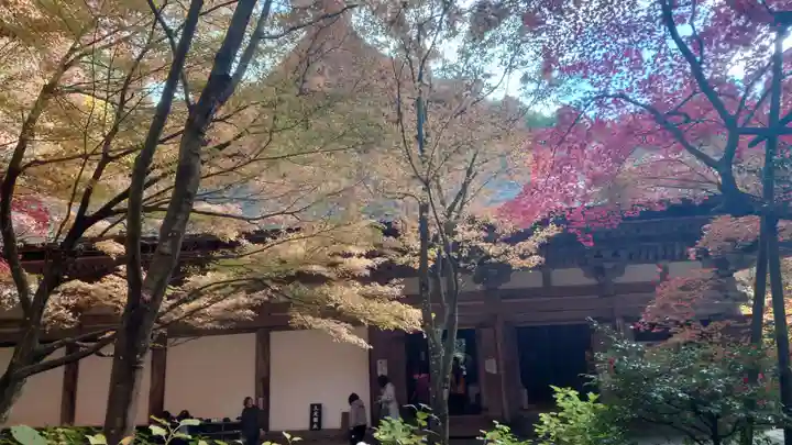 金剛輪寺(滋賀県)