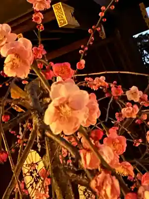 東京大神宮(東京都)