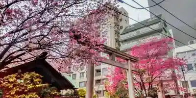 蔵前神社(東京都)