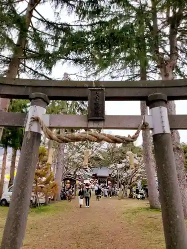 大山祇神社の鳥居