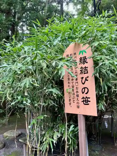 常陸第三宮　吉田神社の{uncategorized: "未分類", other: "その他", undefined: "問題あり", building: "その他建物", grave: "お墓", sacred_gate: "鳥居", guardian: "狛犬", statue: "像", buddha: "仏像", history: "歴史", nature: "自然", garden: "庭園", animal: "動物", pagoda: "塔", temizu: "手水舎", mountain_gate: "山門・神門", sanctuary: "本殿・本堂", subordinate: "末社・摂社", art: "芸術", scenery: "景色", jizo: "地蔵", ema: "絵馬", goshuin: "御朱印", omikuji: "おみくじ", items: "授与品その他", amulet: "お守り", goshuincho: "御朱印帳", eats: "食事", festival: "お祭り", votive_dance: "神楽", shichigosan: "七五三参", wedding: "結婚式", experience: "体験その他", initially: "初詣", around: "周辺", anti_infection: "感染症対策"}