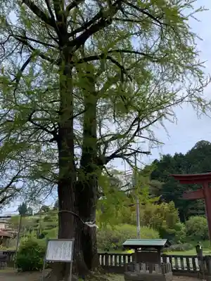 室生神社の自然