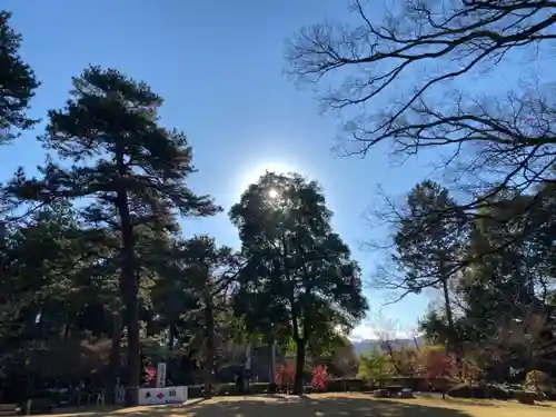武田神社の自然