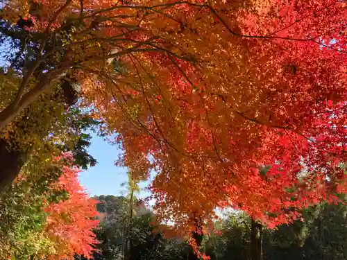 高田神社(茨城県)