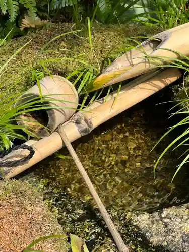 退蔵院(京都府)