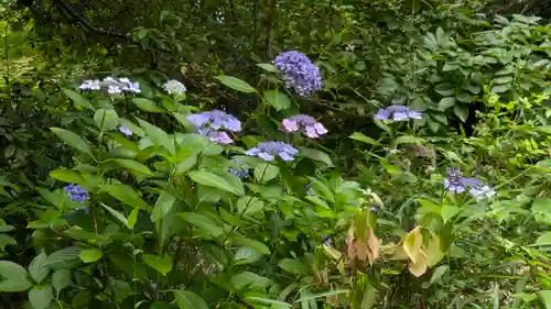 中山寺奥之院(兵庫県)