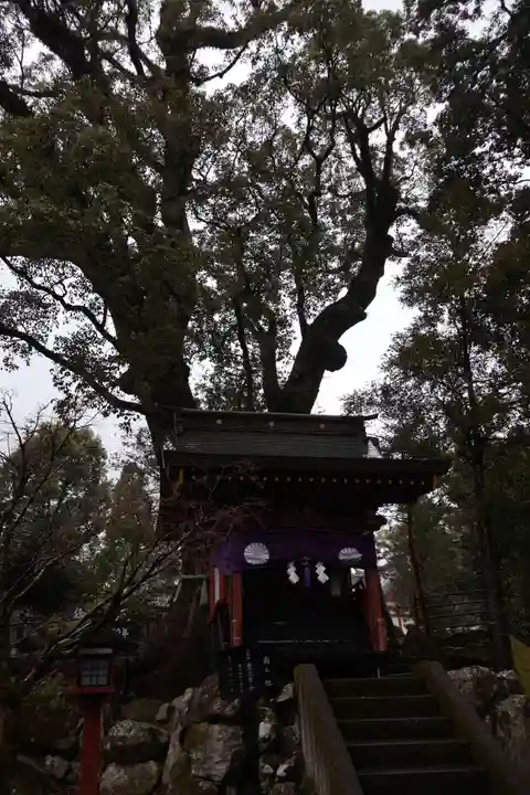 鹿児島神宮(鹿児島県)