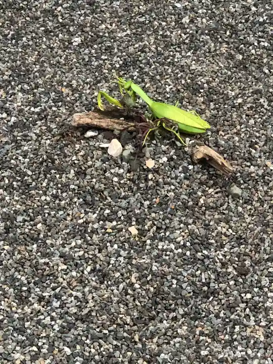 白山神社(福井県)