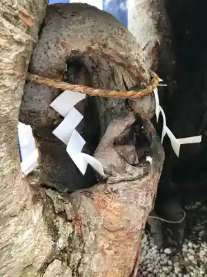 生島足島神社(長野県)