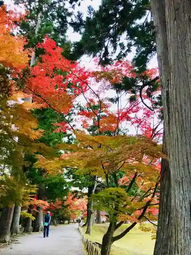 毛越寺の景色