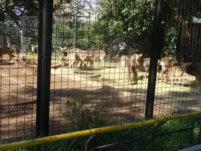 天照皇大神の周辺