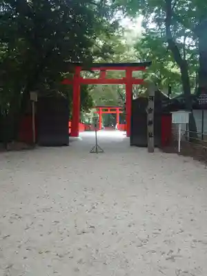 河合神社(鴨川合坐小社宅神社)の鳥居