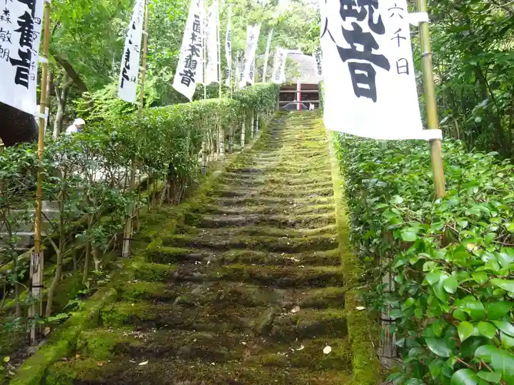 杉本寺の自然