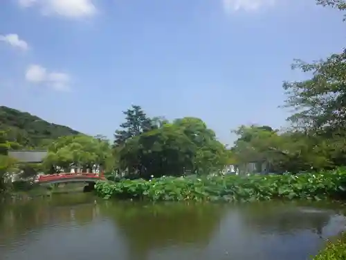 鶴岡八幡宮の庭園