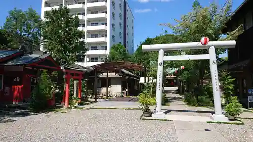 高知大神宮の鳥居