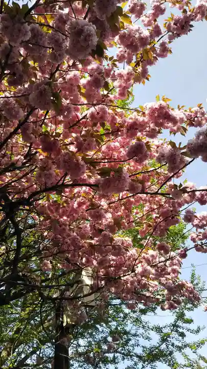 水澤寺(水澤観世音)の自然