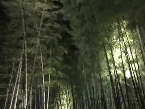 高台寺（高台寿聖禅寺・高臺寺）の自然