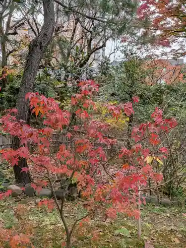 乃木神社(東京都)