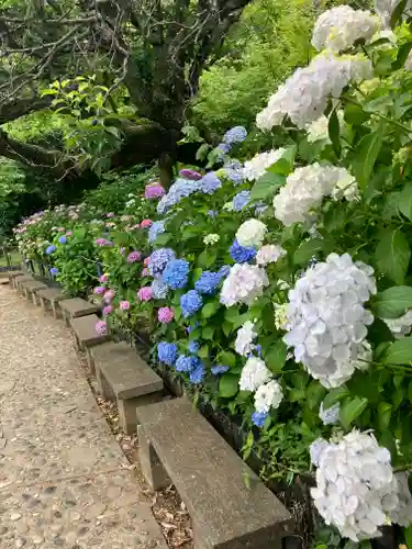 本土寺(千葉県)