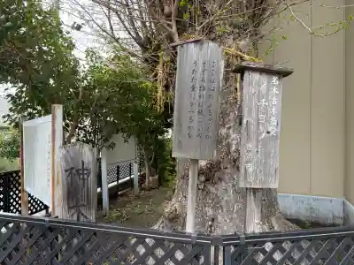 根岸八幡神社(神奈川県)