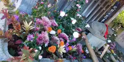 北野天満宮の手水舎