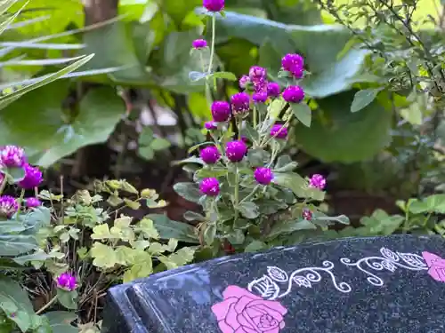 円通寺のその他建物