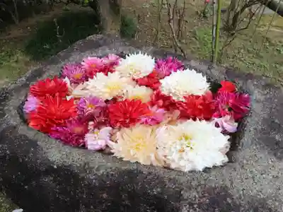 岡寺（龍蓋寺）の手水舎