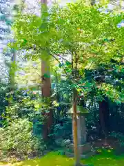 成田熊野神社の自然