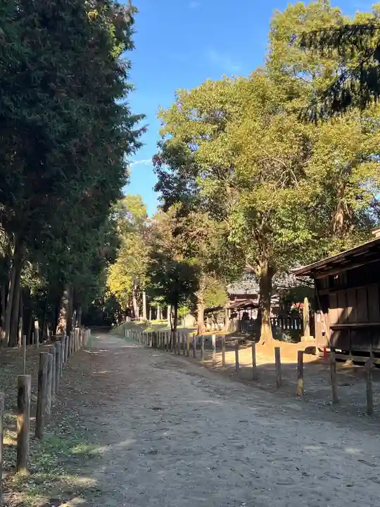 出雲伊波比神社(埼玉県)