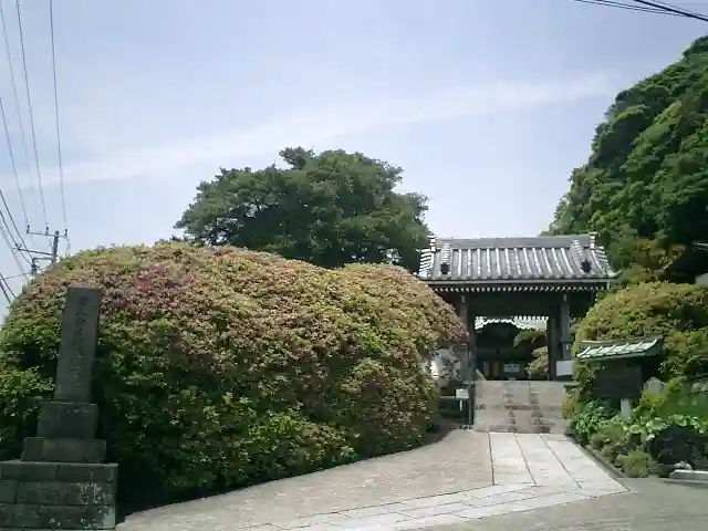 安養院 (田代寺)の山門・神門
