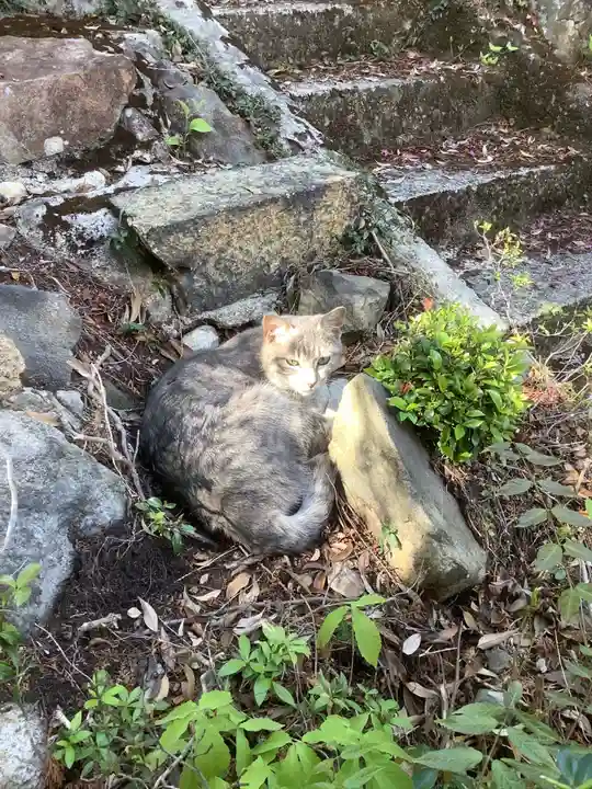 玉野御嶽神社の動物