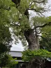 釋迦院(愛知県)