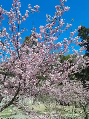 長楽寺(兵庫県)