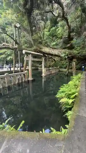 鹿島神宮(茨城県)