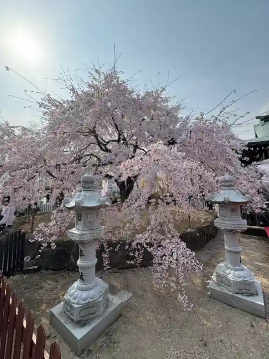 観音神社の{uncategorized: "未分類", other: "その他", undefined: "問題あり", building: "その他建物", grave: "お墓", sacred_gate: "鳥居", guardian: "狛犬", statue: "像", buddha: "仏像", history: "歴史", nature: "自然", garden: "庭園", animal: "動物", pagoda: "塔", temizu: "手水舎", mountain_gate: "山門・神門", sanctuary: "本殿・本堂", subordinate: "末社・摂社", art: "芸術", scenery: "景色", jizo: "地蔵", ema: "絵馬", goshuin: "御朱印", omikuji: "おみくじ", items: "授与品その他", amulet: "お守り", goshuincho: "御朱印帳", eats: "食事", festival: "お祭り", votive_dance: "神楽", shichigosan: "七五三参", wedding: "結婚式", experience: "体験その他", initially: "初詣", around: "周辺", anti_infection: "感染症対策"}