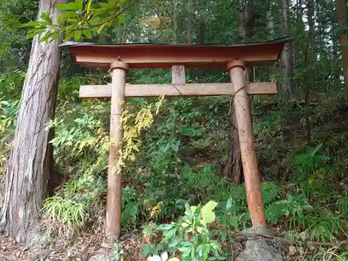 琴平神社(埼玉県)