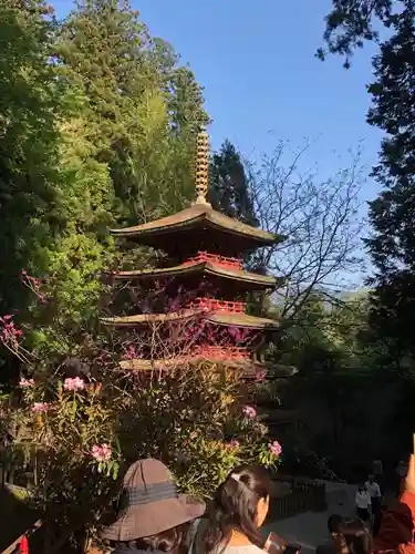 室生寺の塔