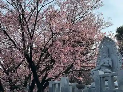 密藏院(埼玉県)