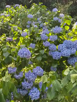 妙楽寺(神奈川県)