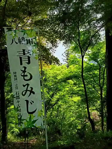 石都々古和気神社の自然