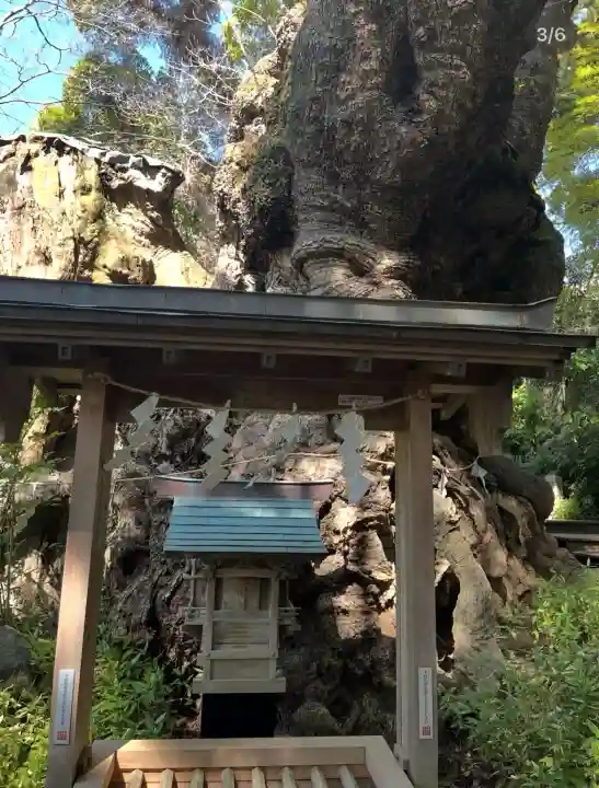 來宮神社(静岡県)