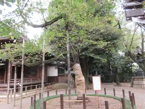 靖國神社の庭園