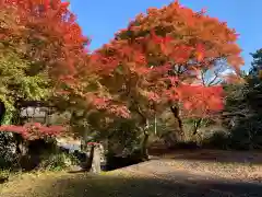 白山長瀧寺(岐阜県)