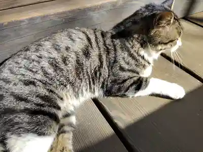 真野寺(千葉県)