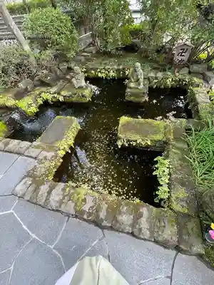 長谷寺(神奈川県)