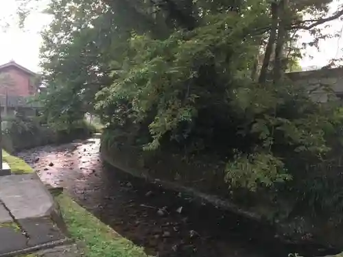 大虫神社の自然